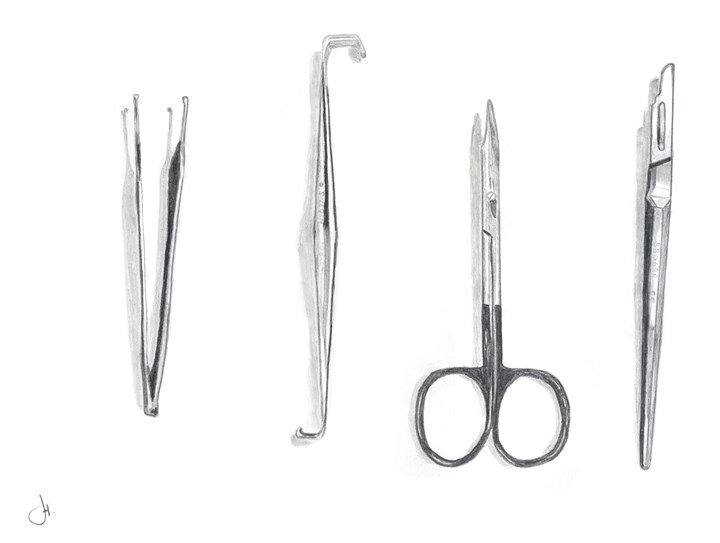 Hand Instruments