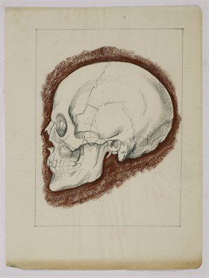 Orpen's Skull