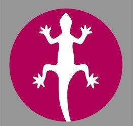 The Salamander Logo