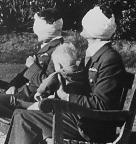 Gillies and the Royal Air Force