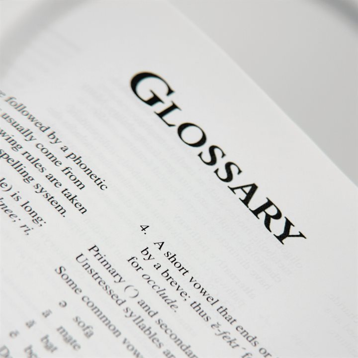 Glossary