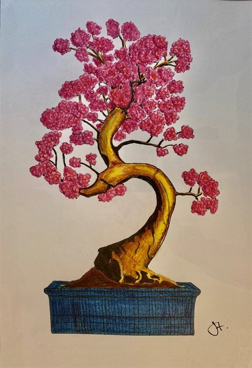 The Bonsai Cherry